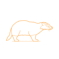 Animals Mustelids Japanese Badger Stencil Svg Vector, Free Vectors File
